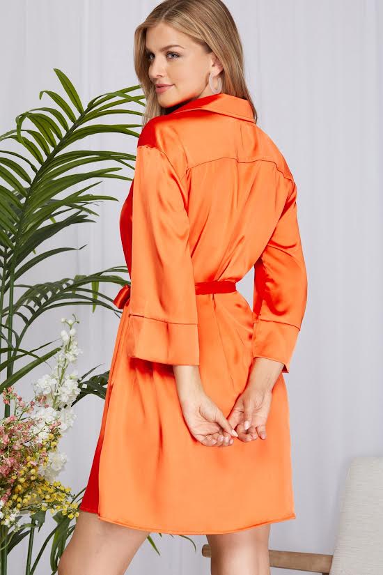 Whispers Shirt Dress