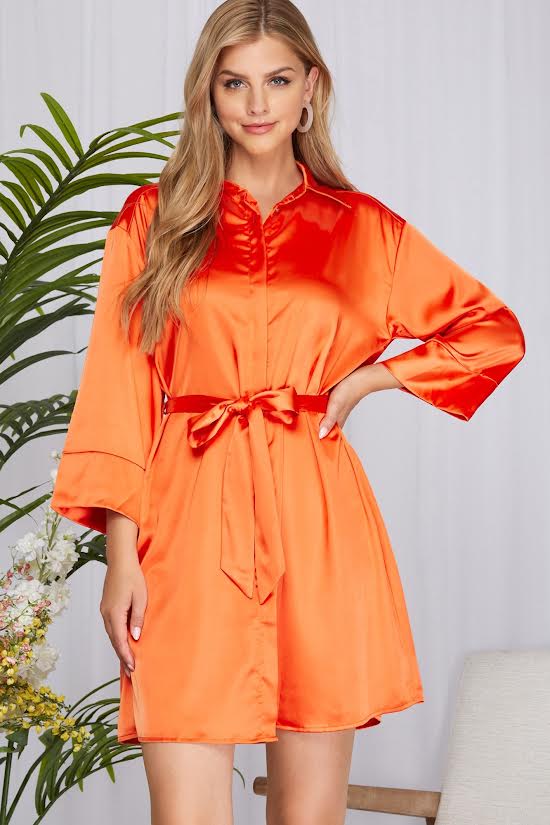 Whispers Shirt Dress