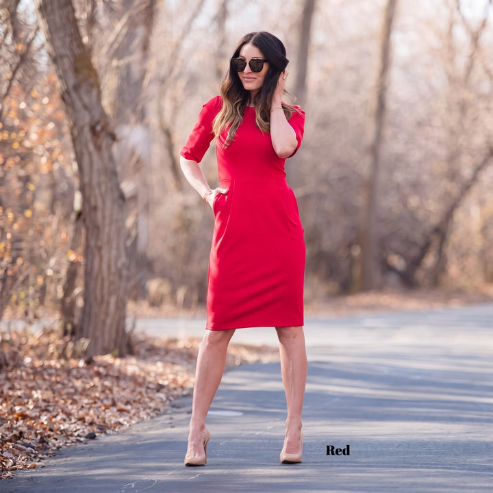 Brigitte Brianna Classic Pleat Dress