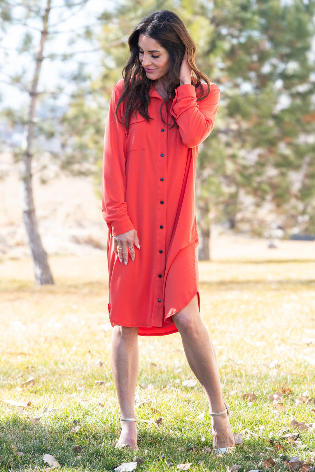 Brigitte Brianna Shirt Dress