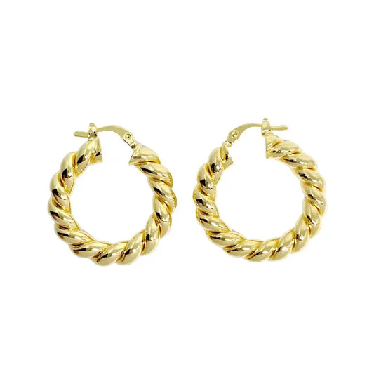 Golden Spiral Twist Earrings
