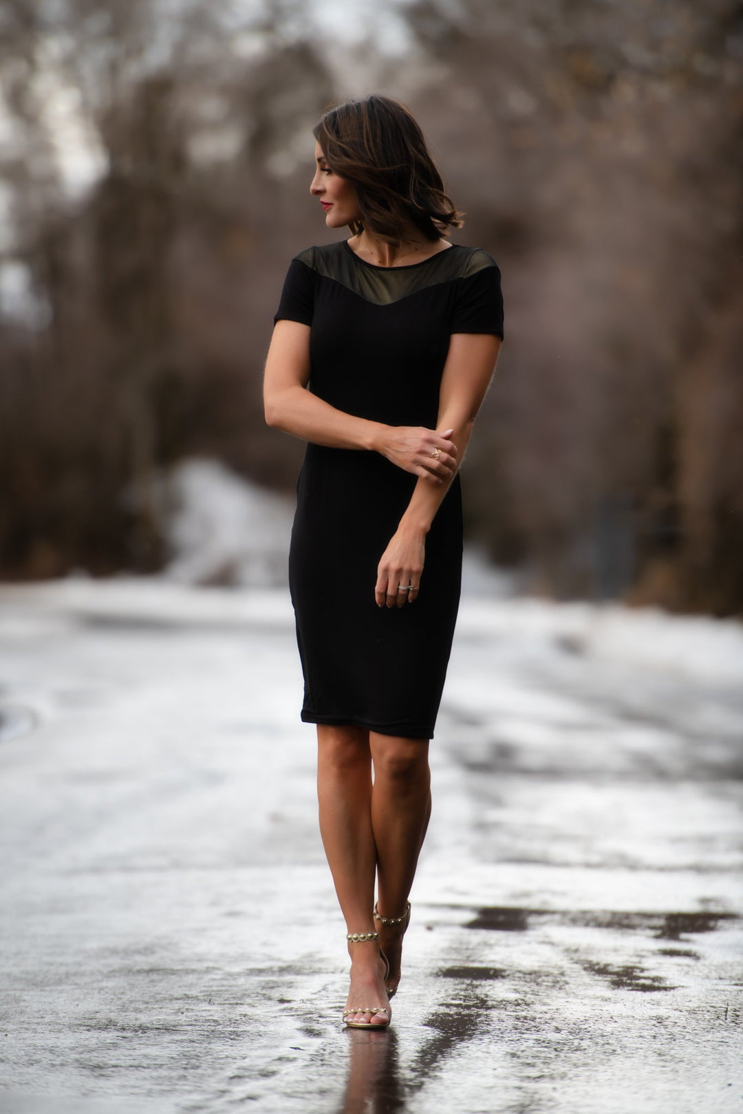 night out dress Brigitte Brianna Night Out Dress S at SexyModest